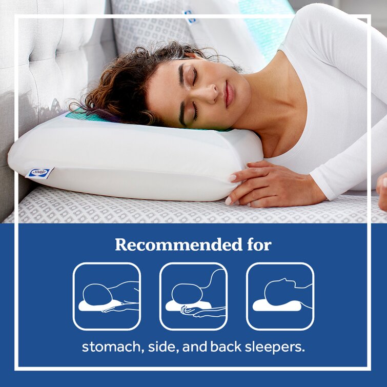 Serta gel memory 2024 foam pillow 2 pack